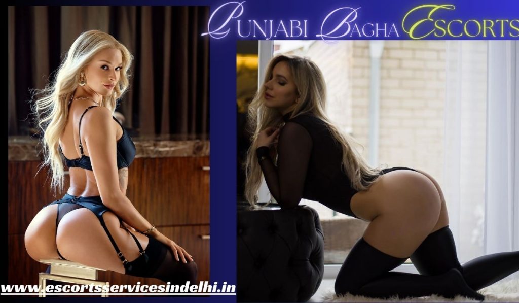 Punjabi bagh Escorts Service